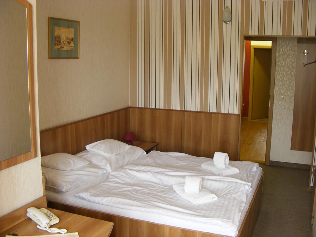 Hary Hotel Kecskemét Pokoj fotografie