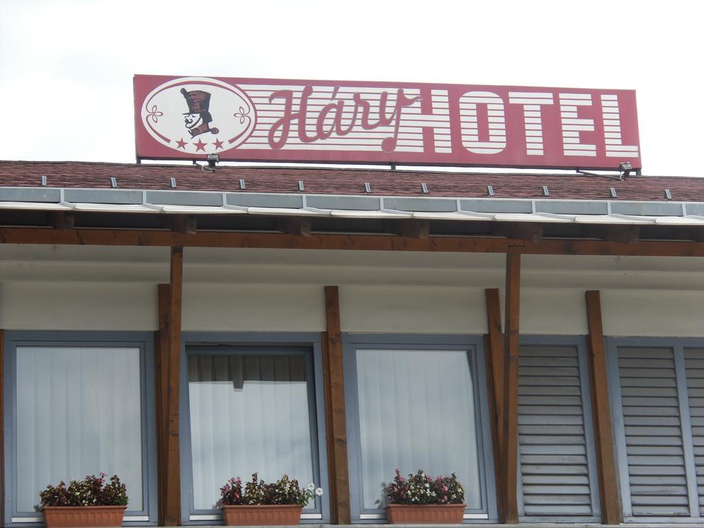 Hary Hotel Kecskemét Exteriér fotografie